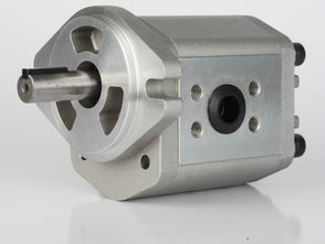 德國HBS s.r.l齒輪泵