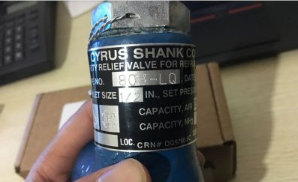 CYRUS SHANK安*閥