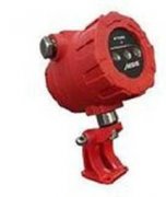 德國(guó)BFI火焰探測(cè)器