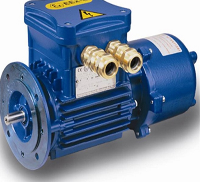 意大利CEMP防爆電機(jī)