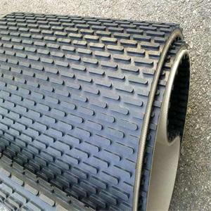 美國Colmar輸送帶