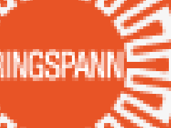 德國RINGSPANN軸承